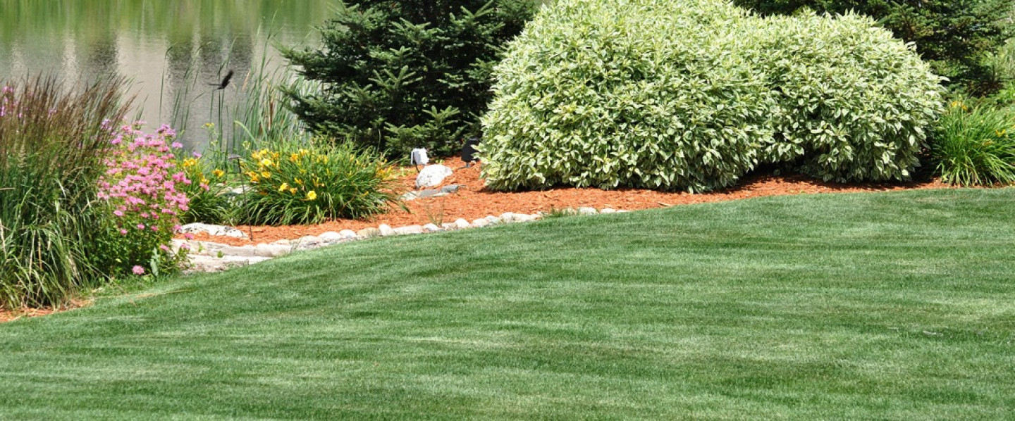 Spring Into Spring With Landscaping & Irrigation Services in Sioux Falls, SD